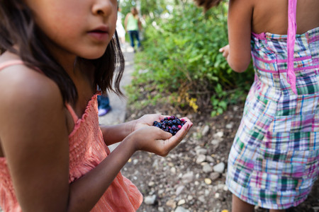 (Left to right) 8 year olds, Morning Star and Daylyn picking sarvisberries
St Mary, Montana
Blackfeet Reservation
