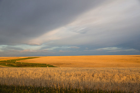 Sunrise on the Rumney Ranch, Cut Bank Montana on the Blackfeet Reservation.  
From ranch owner and Blackfeet Native, Beau Michael When you wake up  and the sun is shining and the grass is green, its just heaven, so thats a connection you get to be with in the land, and the vast openness of everything, you know everywhere you go, its just Gods church and we get to walk around in it, and its beautiful.
